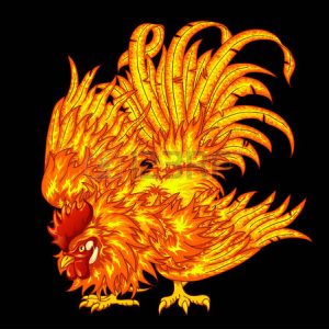 55258180-la-lutte-contre-le-coq-de-feu-sur-un-fond-noir-un-symbole-de-2017-horoscope-est