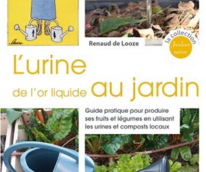 Rencontre avec Renaud Delooze