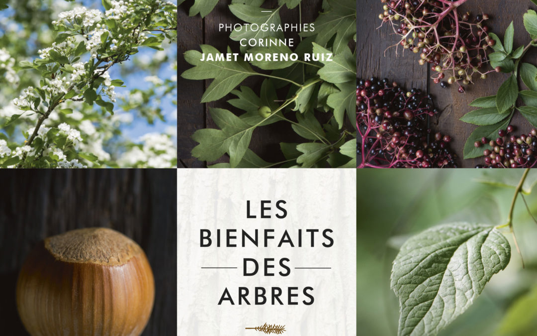 Rencontre avec Corinne Jamet